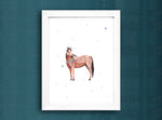 Set Caballos