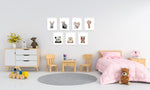 Set Ilustraciones Animales Corona Acuarela