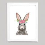 Set Ilustraciones Animales Corona Acuarela