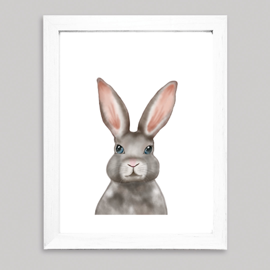 Set Ilustraciones Animales Acuarela