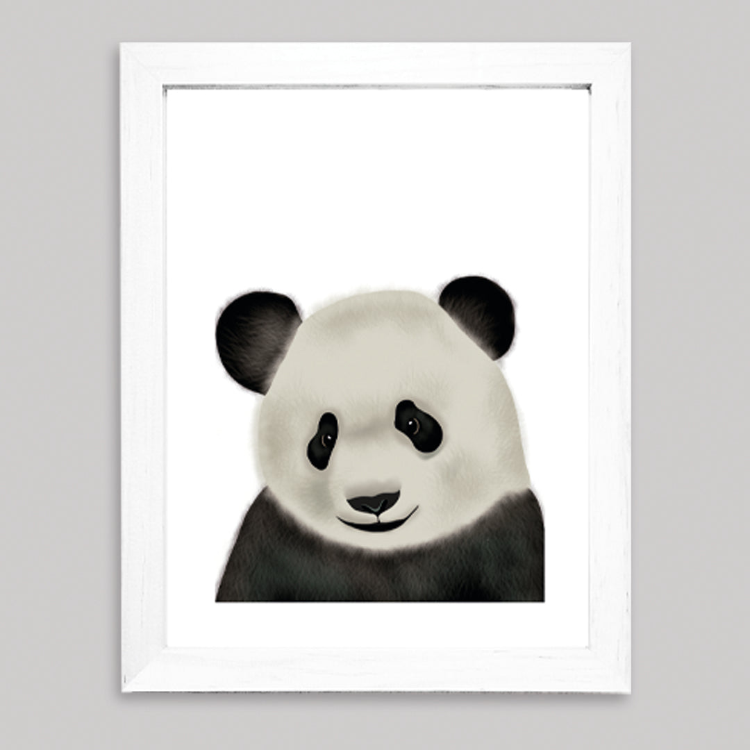 Set Ilustraciones Animales Acuarela