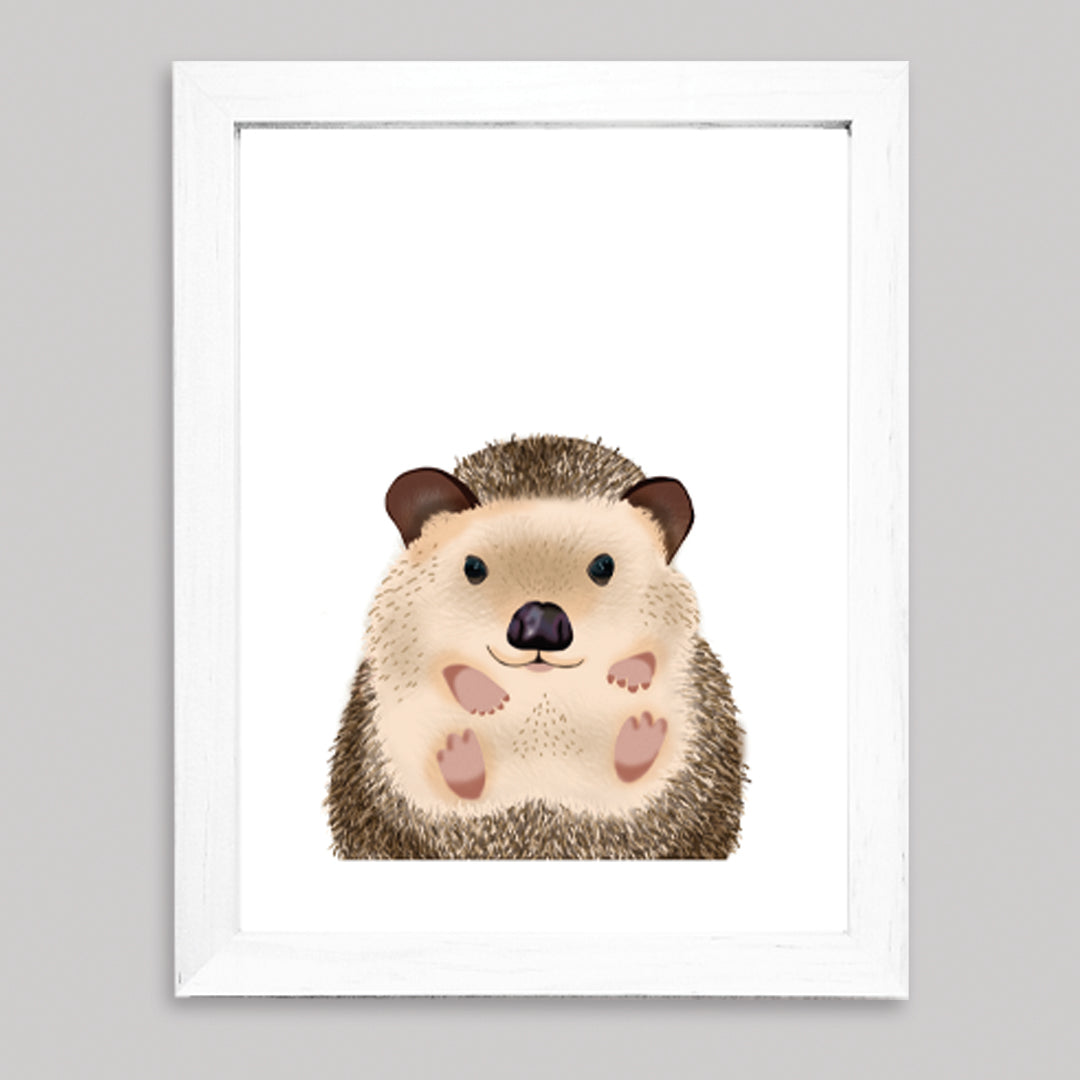 Set Ilustraciones Animales Acuarela