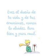 Set frases principito