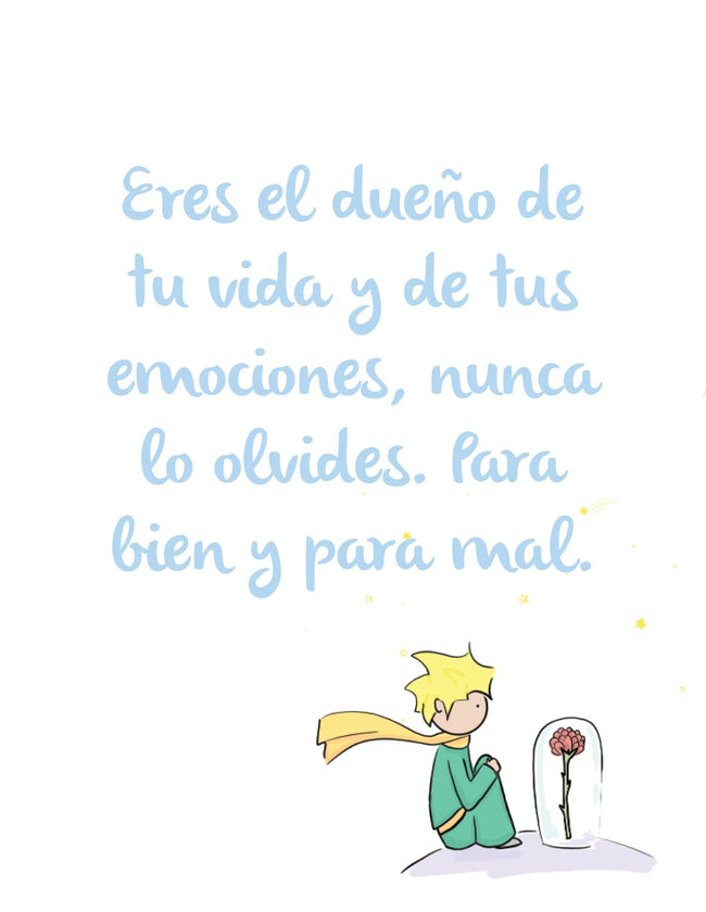 Set frases principito