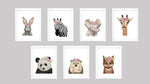 Set Ilustraciones Animales Corona Acuarela