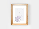 Elefante estrellas