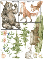 Vinil oso y bosque